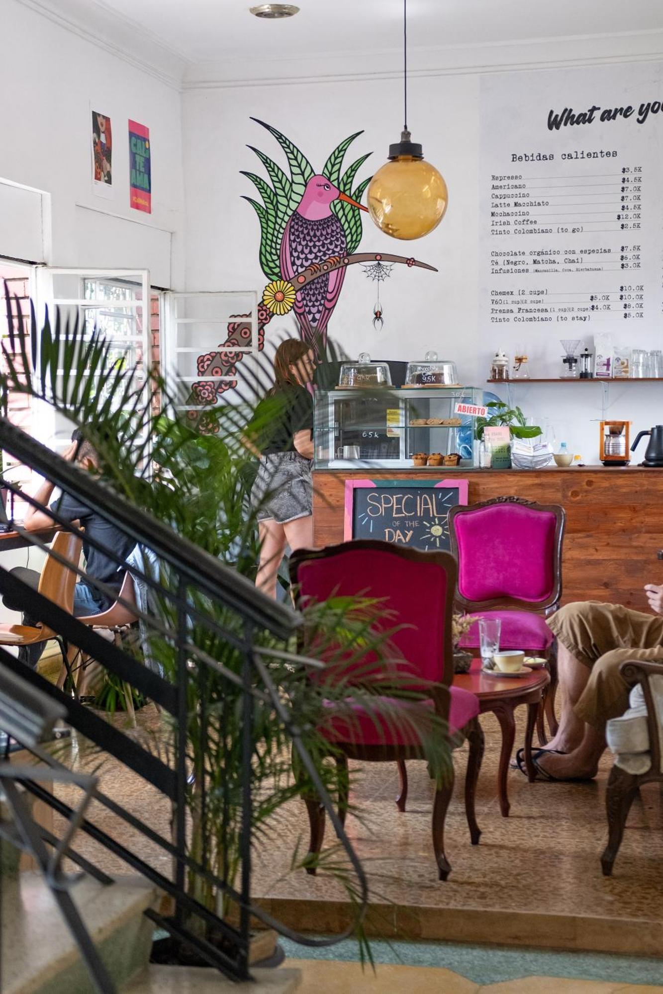 La Palmera Hostel 칼리 외부 사진