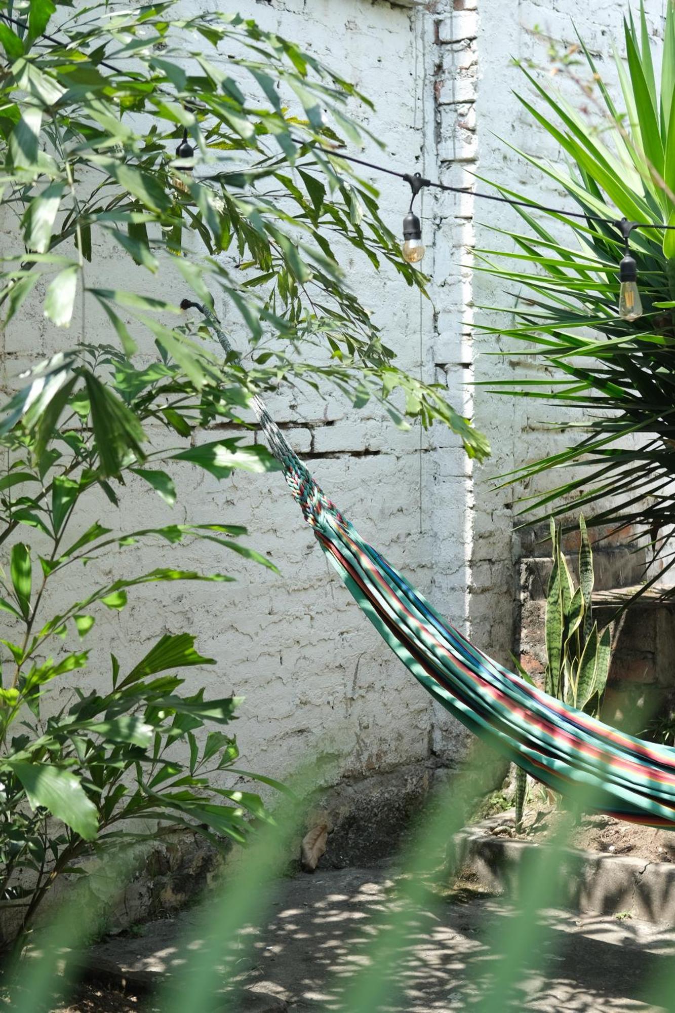 La Palmera Hostel 칼리 외부 사진